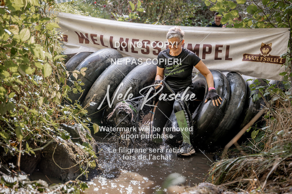 nelerasche_Hunsrück2026_Sa1400-1500_391 | nelerasche