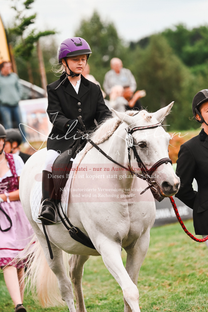 DSC_7391 | Pferde- und Turnierfotografie in Westsachsen. Pferdeportraits, Auftragszeichnungen und intuitive Kunst.