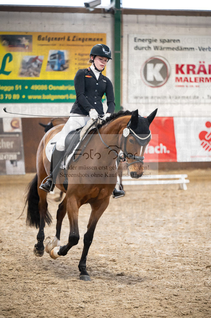 Hallenreittunier Voxtrup 2023 | Entdecke hochwertige Reitturnierfotos von Foto Oger. Professionell, emotional und authentisch – jetzt Lieblingsmomente im Shop bestellen.Deutschlandweite Turnierfotografie. - Realisiert mit Pictrs.com