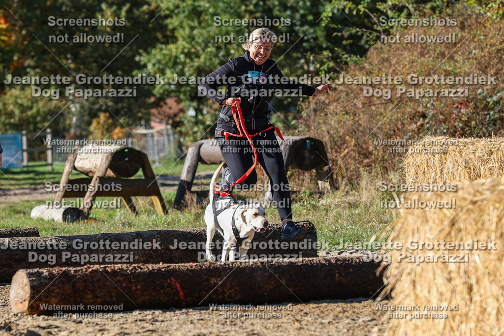 Dog Paparazzi - Strongdog 10-25-2318 | Dog Paparazzi Jeanette Grottendiek Fotografie & Videografie - Realisiert mit Pictrs.com