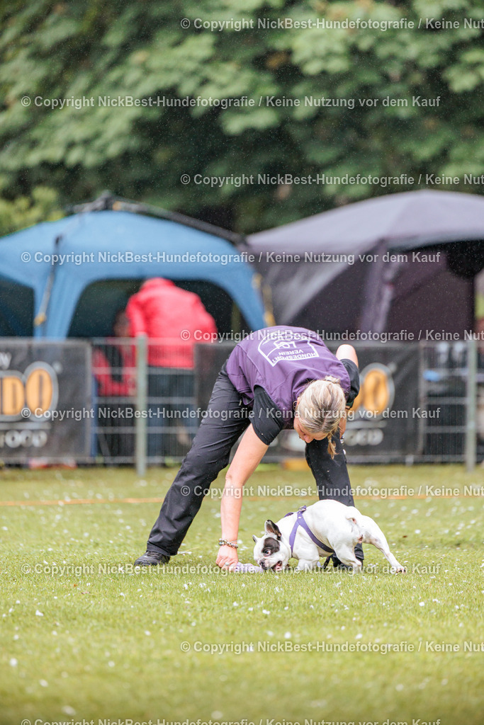 RO-Blumenthal-2026-Nickbest-Hundefotografie-0104 | Dein Hund! Dein Moment! Deine Erinnerungen! Hundefotografie in Bremen Blumenthal. Ich fange die besonderen Momente deines Vierbeiners ein – ob Indoor mit Blitzanlage oder in der freien Natur. Sicher dir dein Moment und dein Termin für eure Erinnerungen.