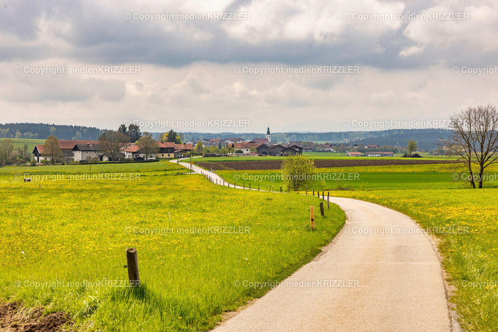 Otting | medienkrizzler - Realisiert mit Pictrs.com