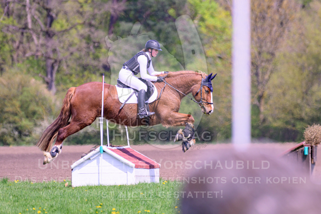 18042026-Gernlinden-01-1-0809 | Fokus Hufschlag Fotografie - Realisiert mit Pictrs.com