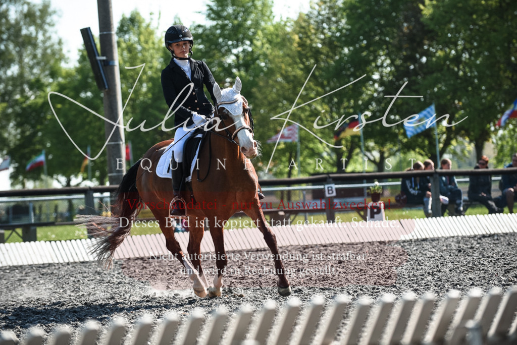 DSC_8719 | Pferde- und Turnierfotografie in Westsachsen. Pferdeportraits, Auftragszeichnungen und intuitive Kunst.