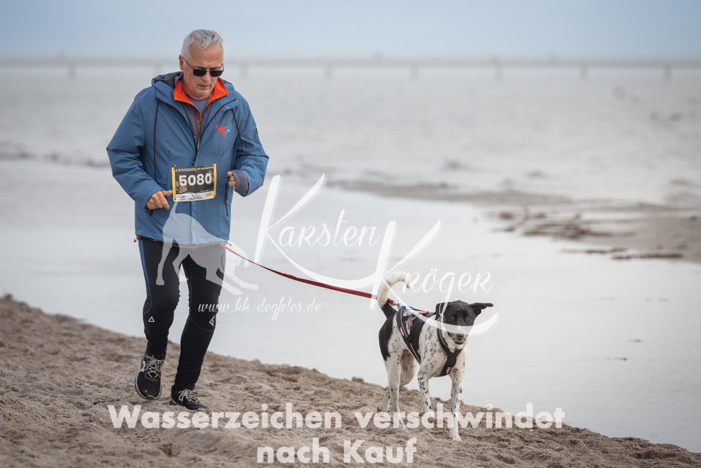 1212_ZZ94851 | kk-dogfotos