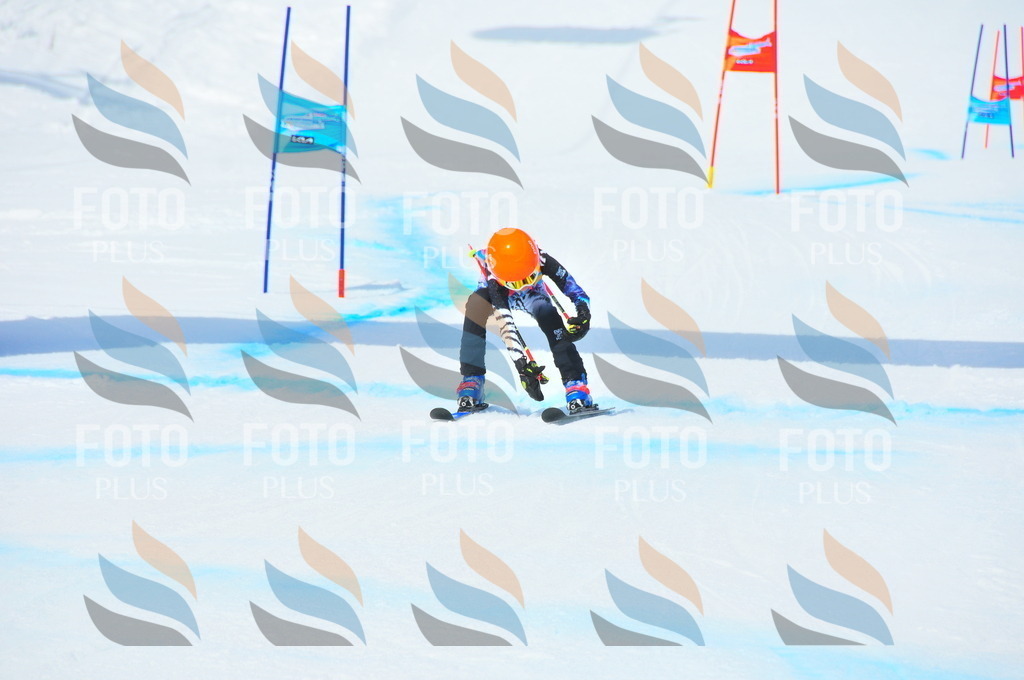 DSC_3163 | holidayphoto