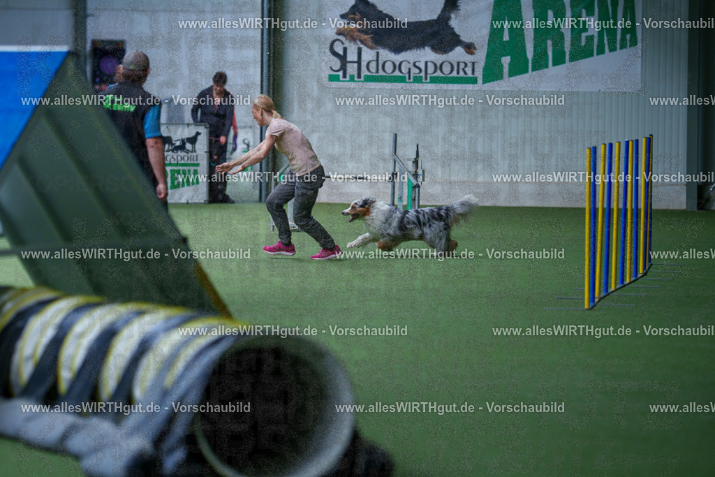 @allesWIRTHgut_Tierfotografie - www.allesWIRTHgut.de - 2604251212-7R501088 | Professionelle Tierfotografie in Mönchengladbach von Daniel Wirth (allesWIRTHgut). Liebevolle & natürliche Bilder von Hunden & Katzen für unvergessliche Erinnerungen.