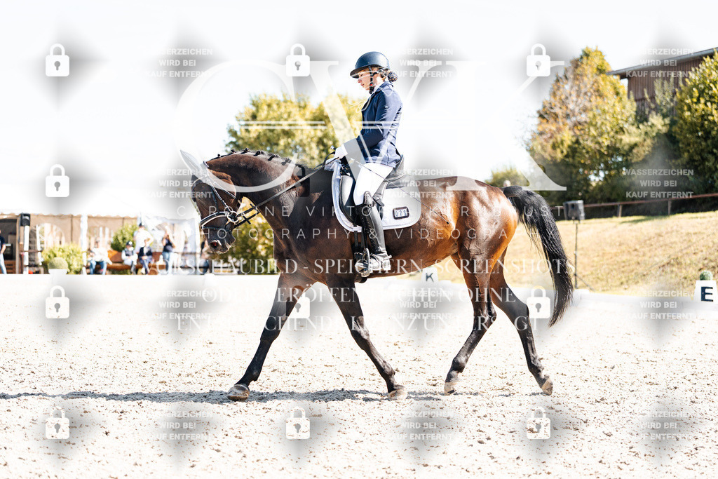 CK903363 | Turnierfotografie Pferdefotografie Trier Rheinland-Pfalz Pferdesport Reitsport Tierfotografie Sportfotografie Pferdevideo Pferdevideografie Equestrianvideography equestrianphotography  - Realisiert mit Pictrs.com