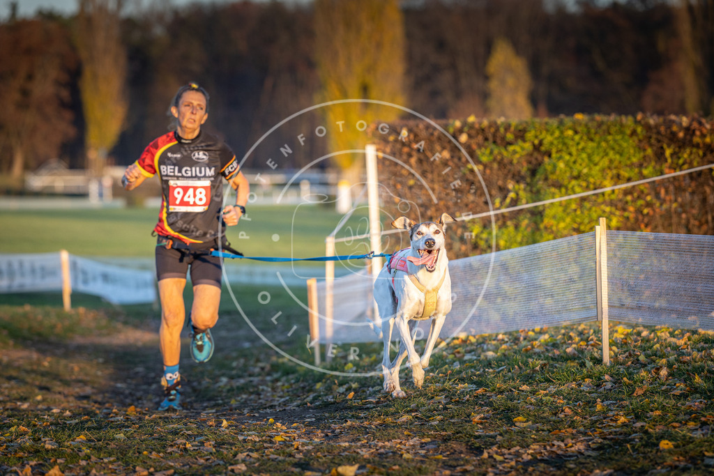 CaniXpix_DV3A5547 | Hundefotografie, Tierfotograf, Pfotenfotografie, Fotoshooting Hund, Hunde Portrait, Hundesport, Hundeportraits, Heideshooting, Hunde, Sportfotograf, Hundefotograf, Turnierhundsport, THS,  - Realisiert mit Pictrs.com