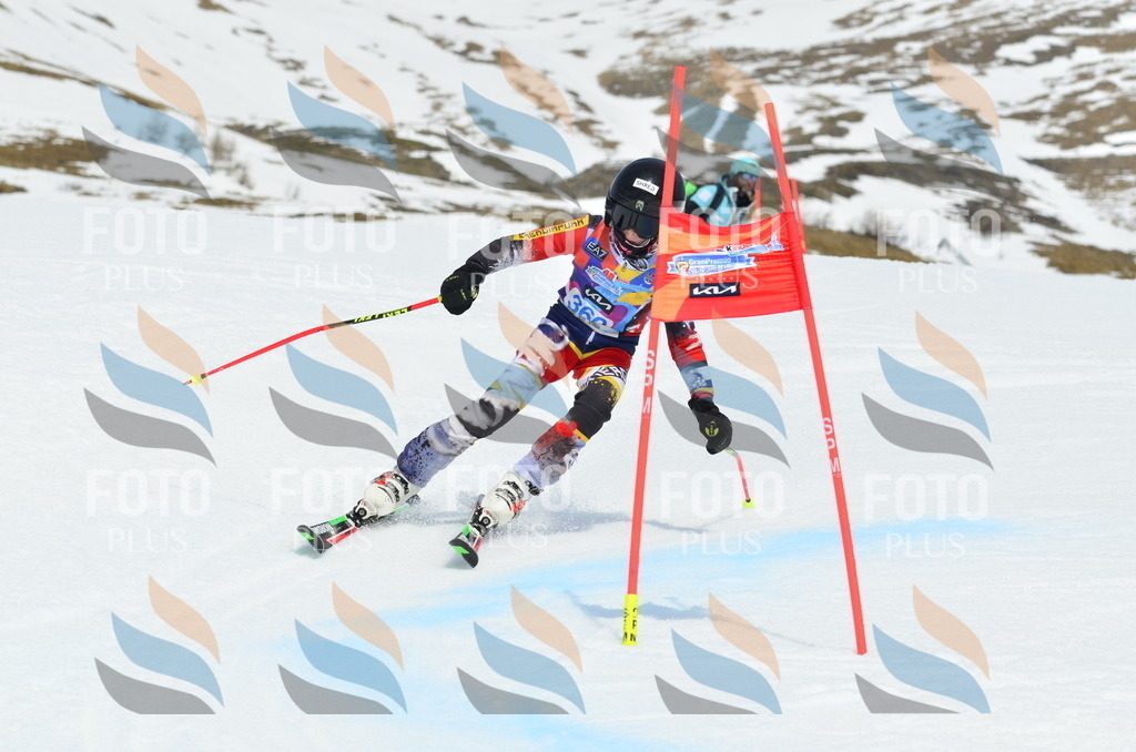 _ELE2855 | holidayphoto