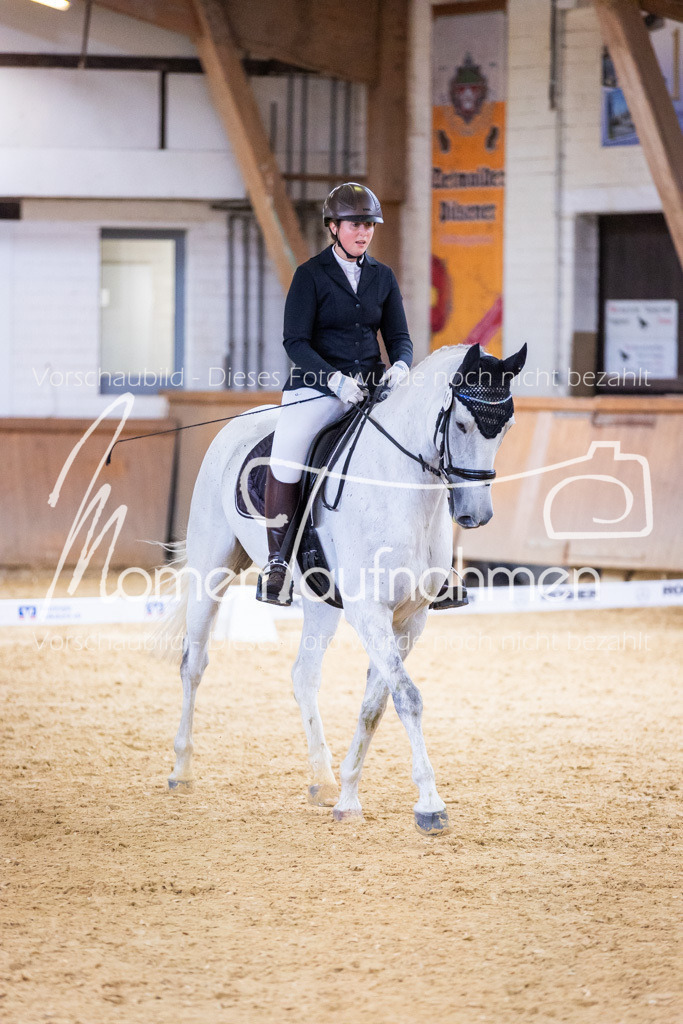 Sth-A-Dre-2St-074 | MomenTaufnahmen Pferdesportfotos