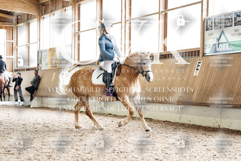 CK900598 | Turnierfotografie Pferdefotografie Trier Rheinland-Pfalz Pferdesport Reitsport Tierfotografie Sportfotografie Pferdevideo Pferdevideografie Equestrianvideography equestrianphotography  - Realisiert mit Pictrs.com