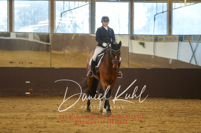 IMG_7930 | Turniersportfotografie; Pferdefotografie; Dressurfotografie