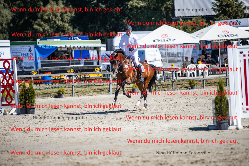 BK1A5578 | Turnierbilder Turnierfotos Nina Hüffmann Turnierfotografie Pferdefotografie Tierzeichnung Haustierzeichnung Pferdezeichnung Hundezeichnung Videograf  - Realisiert mit Pictrs.com