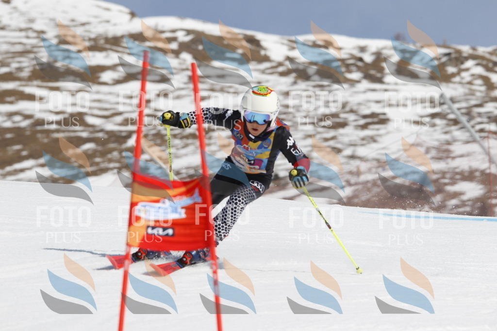 _U3G0939 | holidayphoto