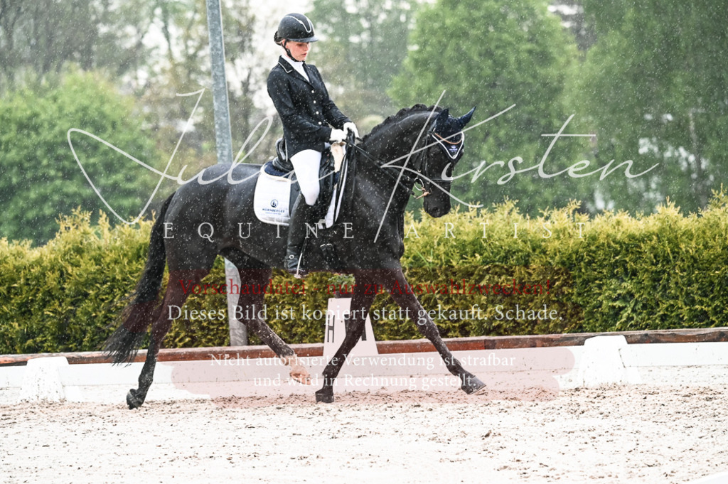 DSC_4731 | Pferde- und Turnierfotografie in Westsachsen. Pferdeportraits, Auftragszeichnungen und intuitive Kunst.