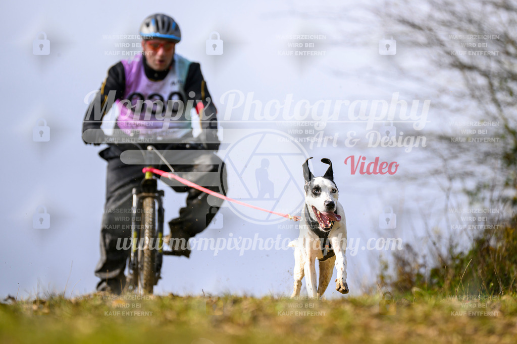 MompixPhotography_2OATB_SO_Bike-47 | PayLife