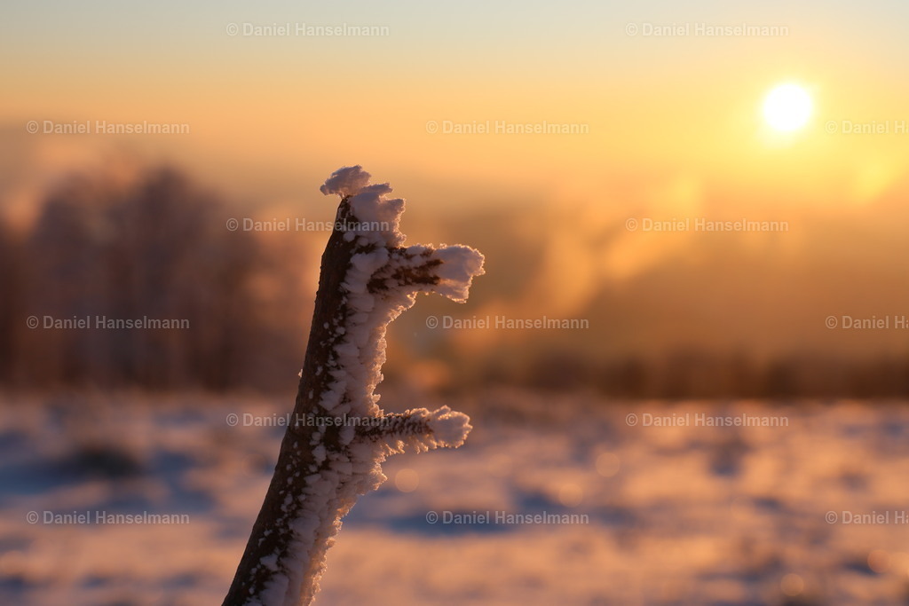 162A3884 | Hier finden Sie Poster, Leinwandfotos sowie viele weitere Fotoprodukte mit Motiven aus dem Schwarzwald, aus Freiburg und dem Kaiserstuhl zum Download und zum Bestellen.  - Realisiert mit Pictrs.com