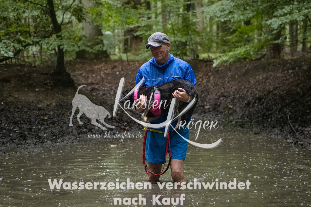 0957_ZZ91601-Bearbeitet | kk-dogfotos