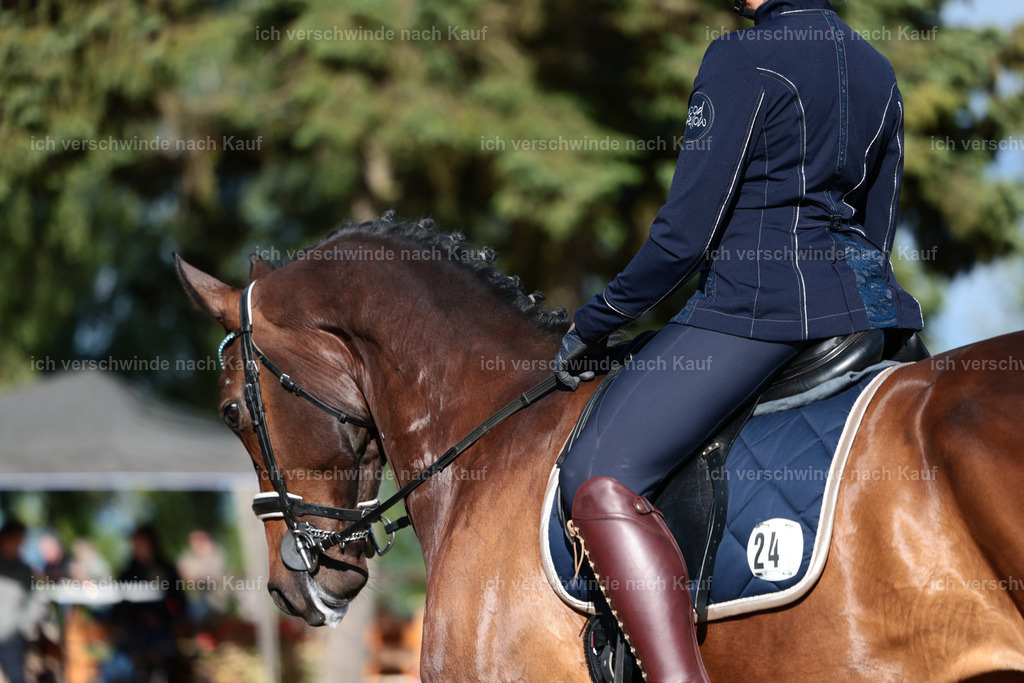 KlasseL_Stoibphotography_CAM24115.JPG | working equitationturnier fotograf videograf stoibphotography marixx film working equitation deutschland reitsport turnierfotografie eventfotografie equestrian events