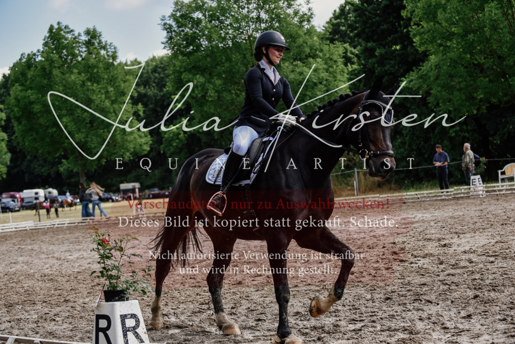 DSC_0622 | Pferde- und Turnierfotografie in Westsachsen. Pferdeportraits, Auftragszeichnungen und intuitive Kunst.