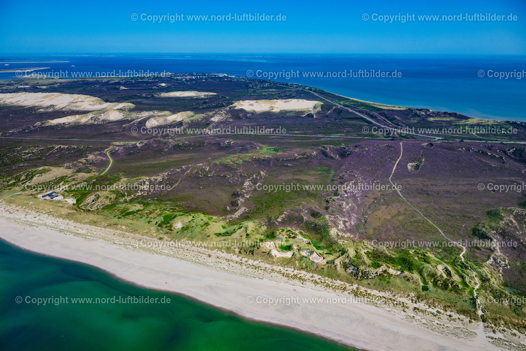 Sylt_List_Dünen_Heide_Landschaft_ELS_0299130825 | LIST 13.08.2025 Sand- Dünen- und Heide- Landschaft bei List auf der Nordseeinsel Sylt im Bundesland Schleswig-Holstein. // Sand and dune landscape near List on North Sea- island Sylt in the state Schleswig-Holstein. Foto: Martin Elsen