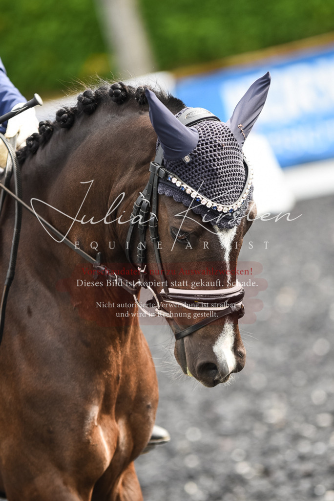 DSC_2975 | Pferde- und Turnierfotografie in Westsachsen. Pferdeportraits, Auftragszeichnungen und intuitive Kunst.