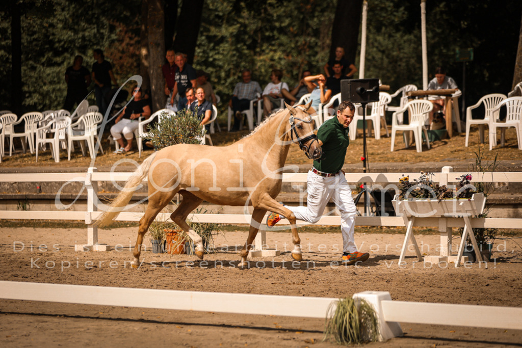 11.So00096 | Leoni Ertmer Photography - Realisiert mit Pictrs.com