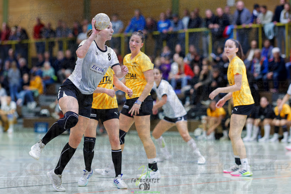 Frauen Oberliga Mitte (HHV); HSG Eibelshausen/Ewersbach - HSG Linden | Frauen Oberliga Mitte (HHV); HSG Eibelshausen/Ewersbach - HSG Linden am 15.11.2025 in Eibelshausen (Holderberghalle)Photo © 2025 - Jörg Heinrich - Realisiert mit Pictrs.com
