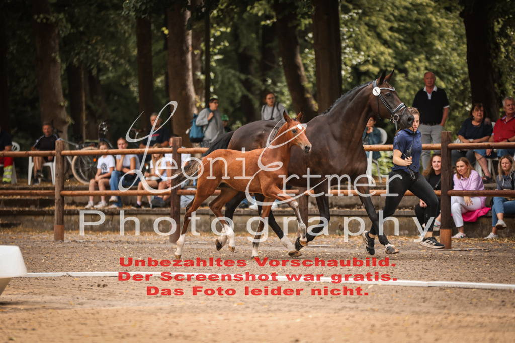 SaFohlen00015 | Leoni Ertmer Photography - Realisiert mit Pictrs.com