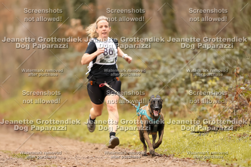 Dog Paparazzi - Speedhunter Mannheim  2025-241 | Dog Paparazzi Jeanette Grottendiek Fotografie & Videografie