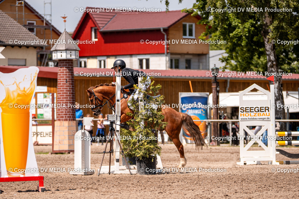 Eppelheim Tag 3-372 | dv-media-shop - Realisiert mit Pictrs.com