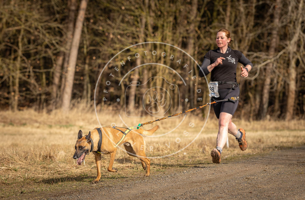 DV3A3860 | Hundefotografie, Tierfotograf, Pfotenfotografie, Fotoshooting Hund, Hunde Portrait, Hundesport, Hundeportraits, Heideshooting, Hunde, Sportfotograf, Hundefotograf, Turnierhundsport, THS,  - Realisiert mit Pictrs.com