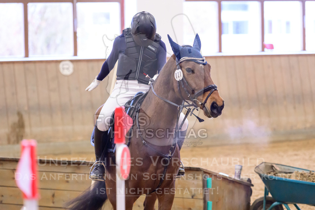29032026-Schwaiganger-Prfg03-2-0517 | Fokus Hufschlag Fotografie - Realisiert mit Pictrs.com