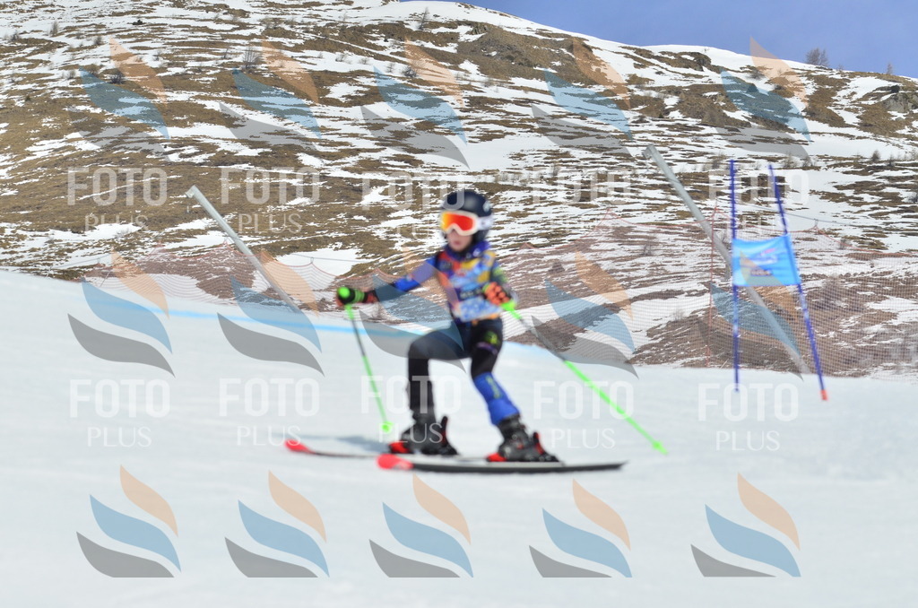 _ELE2126 | holidayphoto