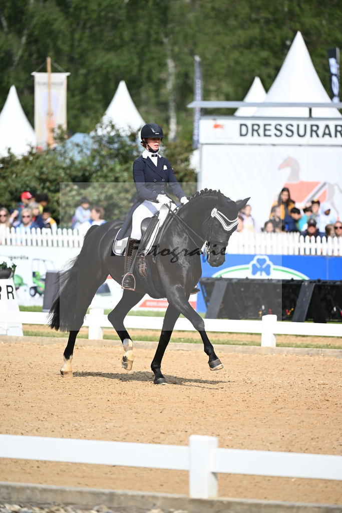 Stotmeister_FBW First Date_12241644 | hf-fotografie - Realisiert mit Pictrs.com