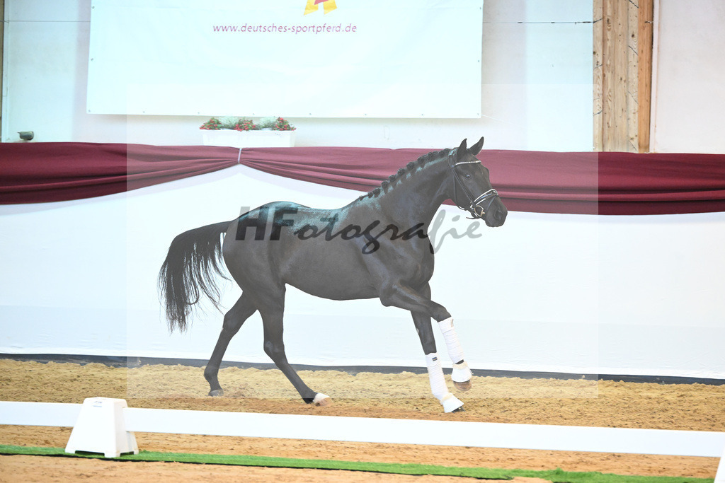 Kat-Nr. 25 v. Donier_Koch_66220261 | hf-fotografie - Realisiert mit Pictrs.com