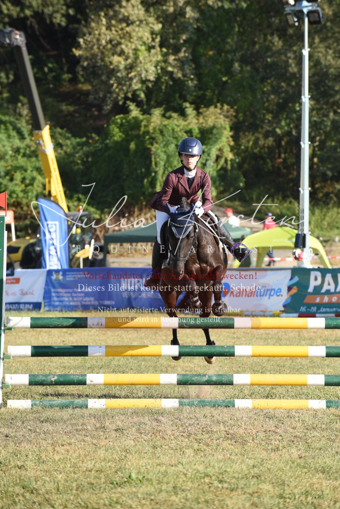 DSC_5070 | Pferde- und Turnierfotografie in Westsachsen. Pferdeportraits, Auftragszeichnungen und intuitive Kunst.