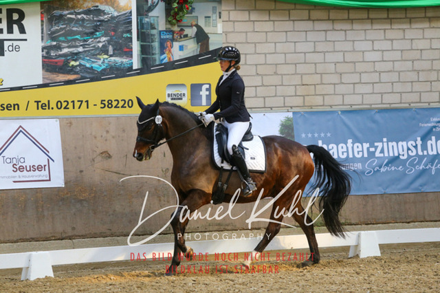IMG_2583 | Turnierfotos kaufen im Webshop von Daniel Kuhl Photography – entdecke professionelle Reitsportfotos aus Turnieren & Events. Hochwertige Turnierbilder online bestellen & sichern. Jetzt Fotos von Reitsportturnieren kaufen!