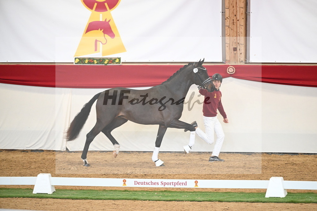 Kat.-Nr. 66 v. Fürstenball_Höchsmann_2250459 | hf-fotografie - Realisiert mit Pictrs.com