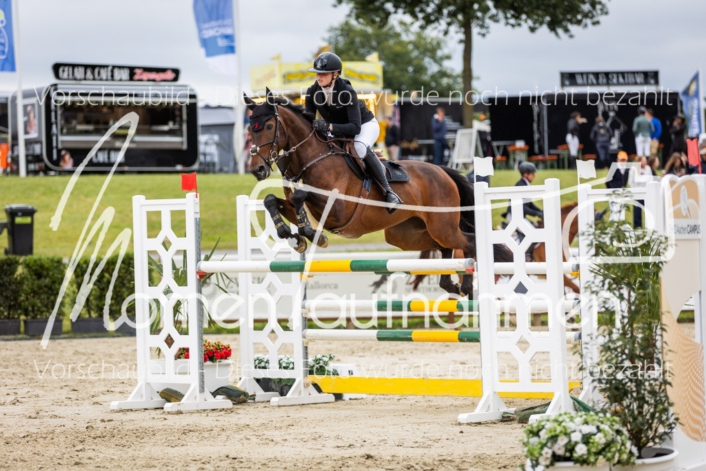 BHO-2PhSpr-M-5-2358 | MomenTaufnahmen Pferdesportfotos