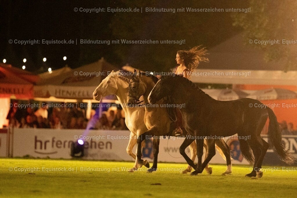 20230526_Pferdenacht_1484 | equistock
