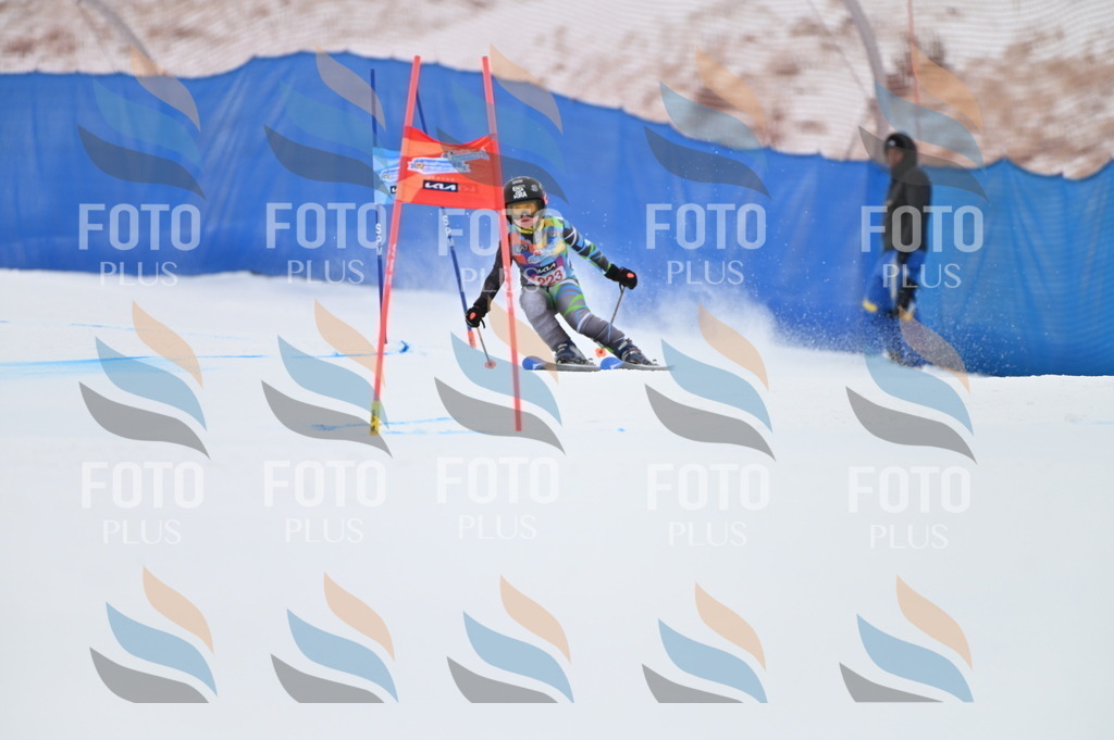 BGV_3186 | holidayphoto