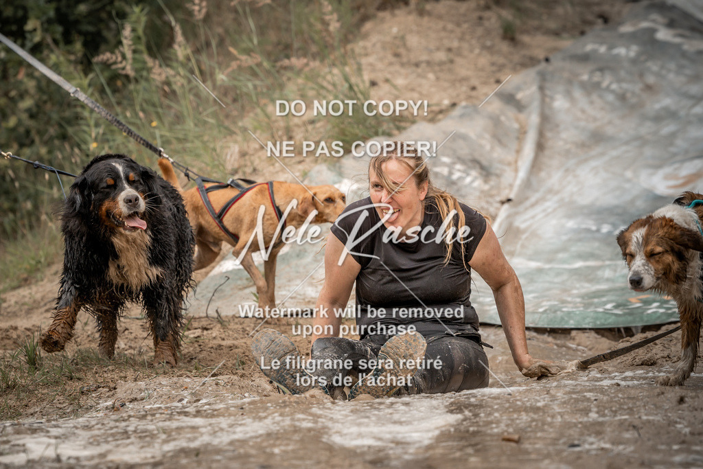 nelerasche_sa1200-1230_297 | nelerasche