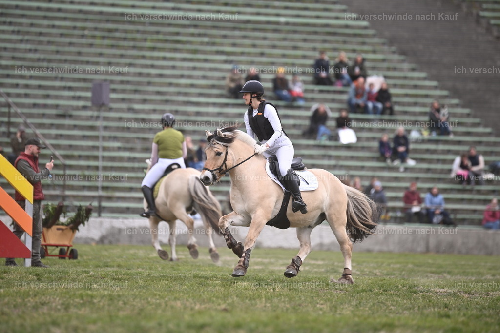 PI26_Show_Sara_Landvogt_226_0834.JPG | working equitationturnier fotograf videograf stoibphotography marixx film working equitation deutschland reitsport turnierfotografie eventfotografie equestrian events