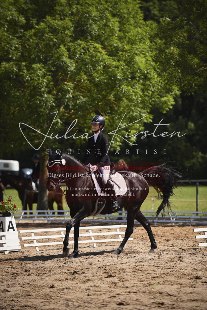 DSC_0660 | Pferde- und Turnierfotografie in Westsachsen. Pferdeportraits, Auftragszeichnungen und intuitive Kunst.