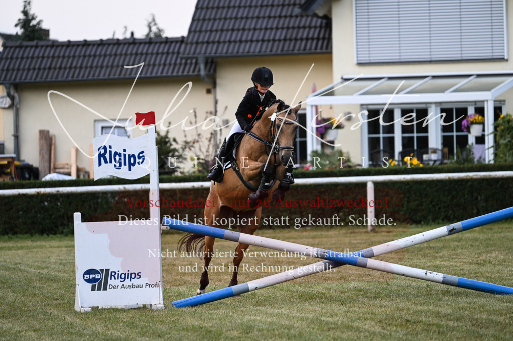 DSC_5624 | Pferde- und Turnierfotografie in Westsachsen. Pferdeportraits, Auftragszeichnungen und intuitive Kunst.