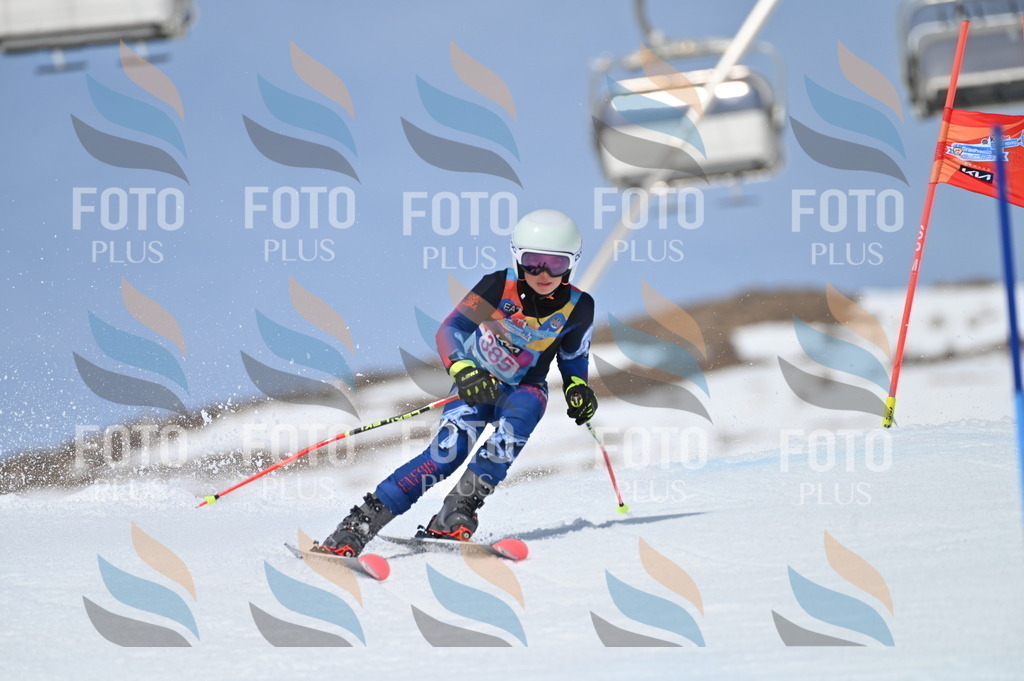 BGV_4262 | holidayphoto