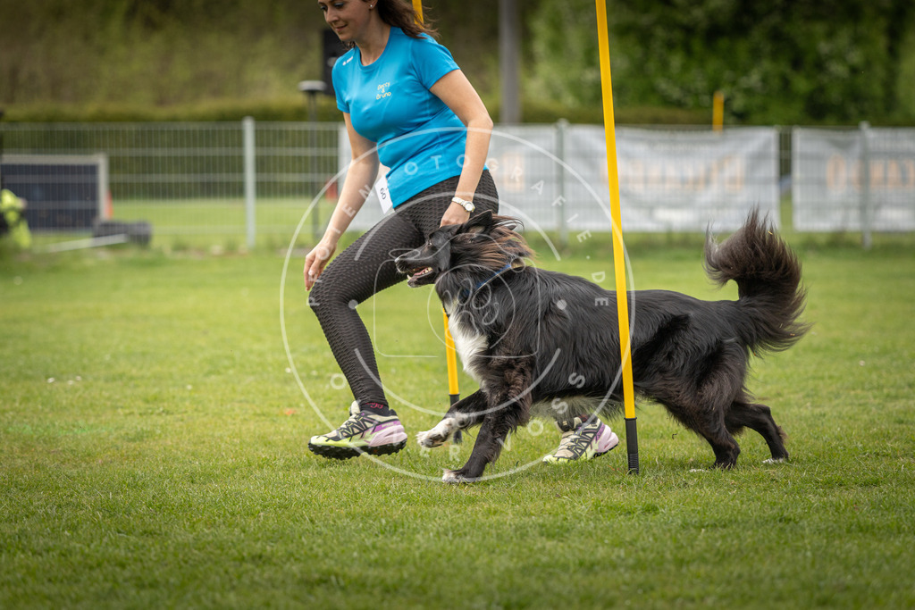 Pfotenfotografie_DV3A1695 | Hundefotografie, Tierfotograf, Pfotenfotografie, Fotoshooting Hund, Hunde Portrait, Hundesport, Hundeportraits, Heideshooting, Hunde, Sportfotograf, Hundefotograf, Turnierhundsport, THS,  - Realisiert mit Pictrs.com