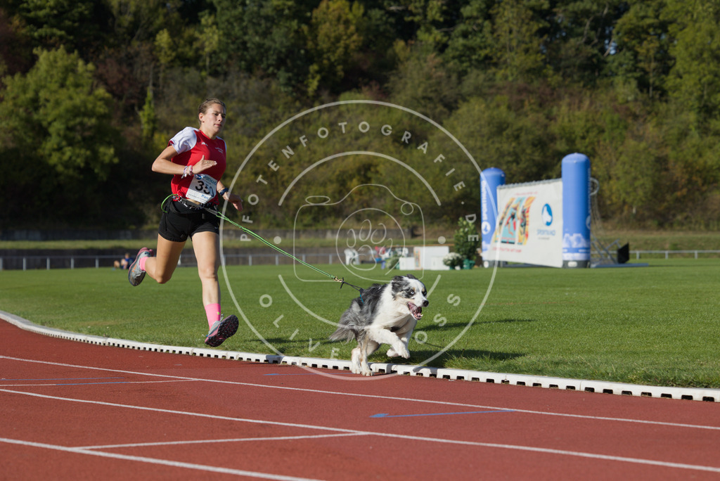 0L8A9687 | Hundefotografie, Tierfotograf, Pfotenfotografie, Fotoshooting Hund, Hunde Portrait, Hundesport, Hundeportraits, Heideshooting, Hunde, Sportfotograf, Hundefotograf, Turnierhundsport, THS,  - Realisiert mit Pictrs.com